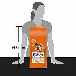 Nourriture Purina Dog Chow Mature Senior Senior Agneau 14 Kg pas cher