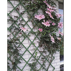 Nature Palissade de jardin 100 x 200 cm PVC Vert