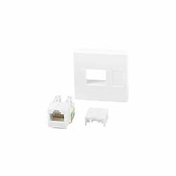 Connecteur RJ45 Catégorie 6 UTP Lanberg WS-4545-RJ45K-W