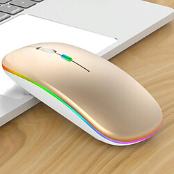 Yonis Souris RGB Sans Fil Ergonomique étanche