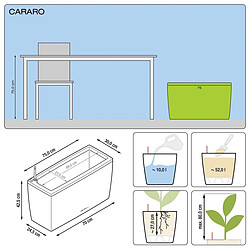 Cararo Premium - kit complet, argent métallisé 75 cm