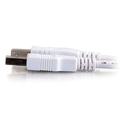 Cables To Go C2G Câble USB 2.0 A/B de 2 M - Blanc