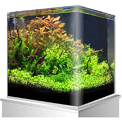 Acheter Amtra Cuve Nano Tank Aquarium pour Aquariophile 60