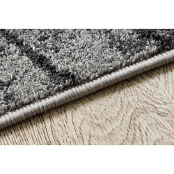 Acheter RUGSX Tapis SILVER TRONKO Arbre Bois - gris 300x400 cm