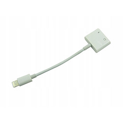 GUPBOO Adaptateur pour iPad mini 1 2 3 4 vers 2 x Lightning Cable,JL2301