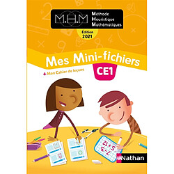 Mes mini-fichiers CE1 : + mon cahier de leçons