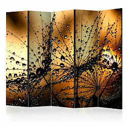 Paris Prix Paravent 5 Volets Dandelions in the Rain 172x225cm