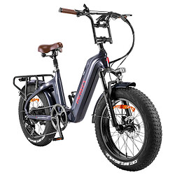 Vélo électrique Fafrees 20*4.0 pouces moteur de 500W Vitesse de 25 km/h Batterie Samsung 48V 22.5Ah, F20 Master - Gris Aurora