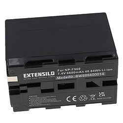 Vhbw EXTENSILO 3x Batteries compatible avec Sony DCR-VX9 Serie, DSC-CD100, DSC-CD250, DSC-CD400 appareil photo, reflex numérique (6600mAh, 7,4V, Li-ion)