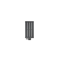 LuxeBath Radiateur anthracite monocouche 300x600 mm raccord central universel thermostat