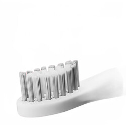 Universal Brosse à dents acoustique électrique Minuteur rechargeable USB Brosse à dents Nettoyage en profondeur automatique Étanche Charge radio