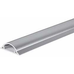 Protège-câbles PVC argent TRU COMPONENTS 1572569 Nombre de canaux: 1 Longueur 1000 mm 1 pc(s)