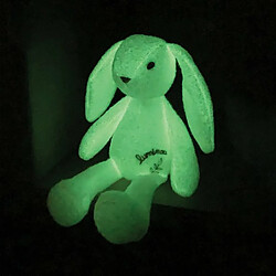 Avis Ludendo Lapin Luminou 30 cm