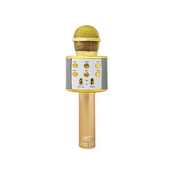 Microphone LTC