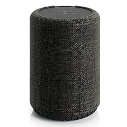 Avis Audio Pro G10 Enceinte portable stéréo Gris 62 W