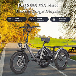 Acheter Tricycle électrique FAFREES F20 Mate, moteur sans balais 500 W, batterie 48 V/18,2 Ah, gros pneus 20 x 3,0 pouces - Bleu