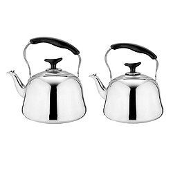 Paquet De 2 Pots à Eau En Acier Inoxydable Sifflant Bouilloire à Thé Teakettle Gas 2L + 3L