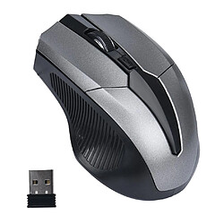 Avis Souris optique sans fil 2,4 G haute précision Win Win / Mac / Android Grey