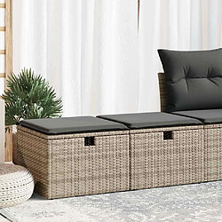 vidaXL Salon de jardin 2 pcs avec coussins gris résine tressée acacia