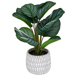 Atmosphera, Createur D'Interieur Maranta Geom H45cm Vert - ATMOSPHERA