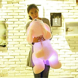 Universal Classic Luminal Teddy Dog -led Light Pillowwhite