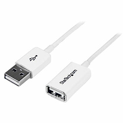 Startech Rallonge USB 2.0 Type A-A (Mâle/Femelle) - 1 m