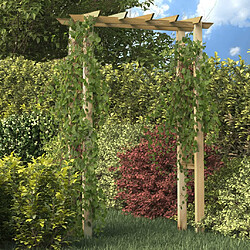 vidaXL Arche pour rosiers 150 x 60 x 204 cm bois imprégné