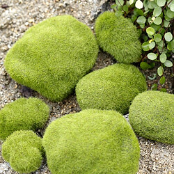 Wewoo Décoration Jardin Simulation de Faux Mousse de Bryophyte Pierre Flocage Faux Pelouse Micro Paysage Accessoires, Diamètre: 8cm