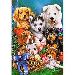 Castorland Puzzle 1000 pièces : Tableau de chiots