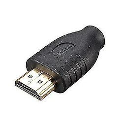 Avis Universal 2 PCS HDMI mâle de type A à micro HDMI Type D Femme Convertisseur d'adaptateur