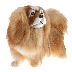 Simulation de peluche réaliste animal modèle de chien pekingese pour ornements enfant jouet