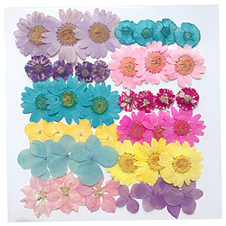 Avis Fleurs Séchées Naturelles Scrapbooking Embellissements Artisanat Pour Décors D'art D'ongle