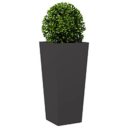 Avis vidaXL Jardinières 2 pcs noir 35x35x75 cm acier