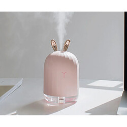 Avis YP Select Mini-humidificateur USB monté sur véhicule en forme de dessin animé - Lapin rose