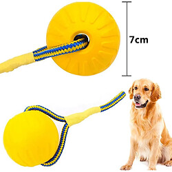 Lanceur de balle interactif pour chien pour exercice d'entraînement de jeu d'animaux de compagnie avec corde - 7cm de diamètre