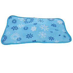 Acheter Coussin de siège de coussin de glace pour la sieste en glace en été