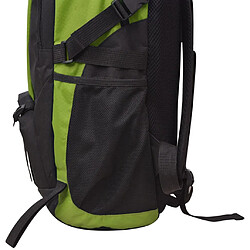 Acheter vidaXL Sac à dos de randonnée 40 L noir et vert