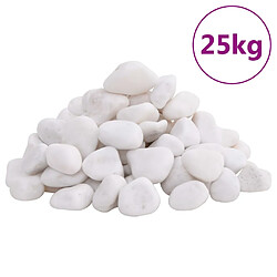 vidaXL Galets polis 25 kg blanc 2-5 cm