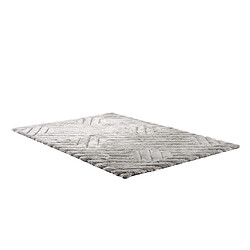 Vente-Unique Tapis shaggy en relief à poils longs - 160 x 230 cm - Gris - MAZE