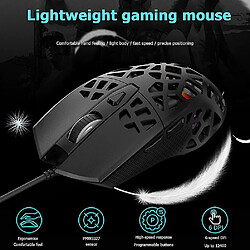 Avis Universal Des souris de jeu réglable ergonomiques légères (noir)