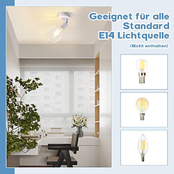 Avis NETTLIFE Spot de Plafond E14 - métal, lampe de couloir industrielle pivotante à 350°, applique murale pour couloir et salon,blanc