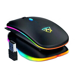 Universal 2.4GHz LED Wireless Wireless Mouse Mouse PC Portable Bobine optique