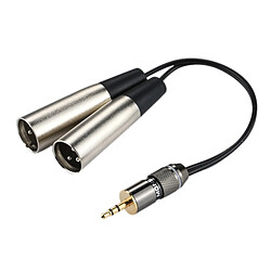 Wewoo Tête en métal de 3,5 mm mâle à la coquille en aluminium 2 x 3 broches XLR CANNON Câble adaptateur audio, longueur totale: environ 25 cm