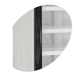 Congélateur Vertical de Vitrine NF2500G - TEFCOLD