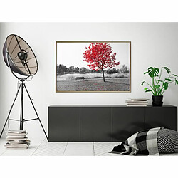 Paris Prix Affiche Murale Encadrée Autumn Colours I 90 x 60 cm Or