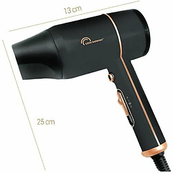 Acheter Sèche-cheveux et concentrateur LITTLE BALANCE 8627 - 1800 W