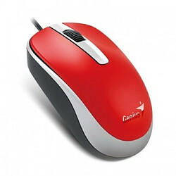 Genius DX-120 souris Ambidextre USB Type-A Optique 1000 DPI