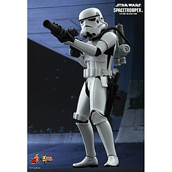 Avis Hot Toys MMS291 - Star Wars 4 : A New Hope - Spacetrooper