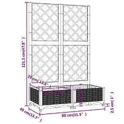 vidaXL Jardinière avec treillis Noir 80x40x121,5 cm PP pas cher