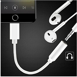 Acheter GUPBOO Adaptateur JACK pour connecter un casque à l'iPhone,JL1053